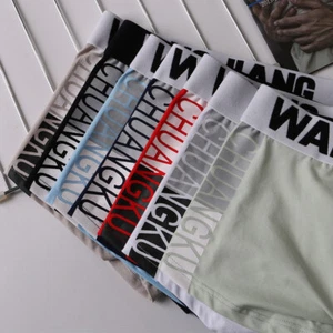 3Pack Men's Cotton Mid-Waist Stylish and Simple New Arrival Boxer Briefs - Picture 1 of 20