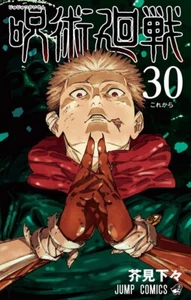 Jujutsu Kaisen Gege Akutami Jump Comic Manga Anime Book in Japanese Vol.0-30 - Picture 1 of 32