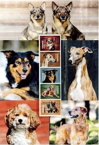 Sweden Scott 2863 MNH stamps collector's sheet dogs - Picture 1 of 1
