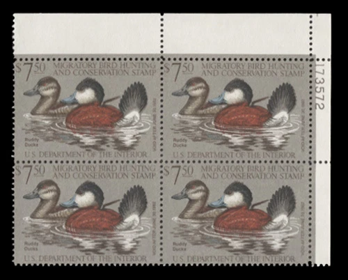 RW48 — 1981 Federal Duck Stamp PB/4 BELOW FACE! - Image 1 of 1