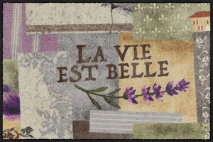 Salonloewe Fußmatte 50x75 cm La vie est belle - Bild 1 von 8