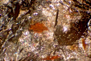 Deerita (tipo de localidad): Laytonville Quarry, Mendocino Co., CA, Micromt., ex-Grandy - Imagen 1 de 4