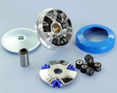 VARIATORE POLINI PER PIAGGIO CIAO-SI-BOSS-BOXER-BRAVO-GRILLO 241.311 - Immagine 1 di 3