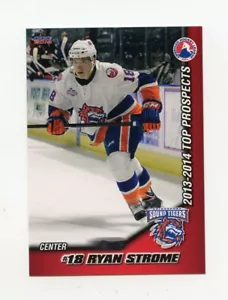 13/14 AHL TOP PROSPECTS #1-50 *66403 - Picture 1 of 27