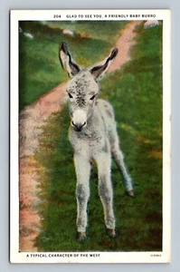 POSTKARTE FROH DICH ZU SEHEN, EIN FREUNDLICHES BABY BURRO - Bild 1 von 2