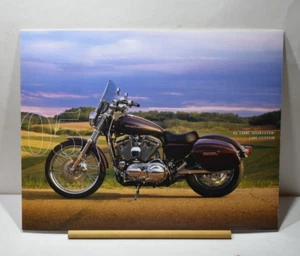 2005 Harley Davidson sales brochure XL 1200C Sportster 1200 Custom    H1 - Picture 1 of 2