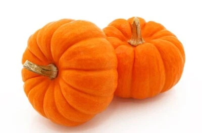 15 Graines de Potiron doux Courge Méthode BIO seed légume ancien potager  - Photo 1/4