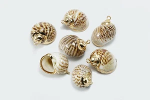 Muschel Schnecke Schneckenhaus Anhänger Muschelanhänger Perlmutt, A-246 - Bild 1 von 4