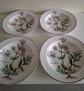 Villeroy & Boch BOTANICA x 4 Rimmed Soup Bowls Valeriana Officinalis 22cm - Picture 1 of 19