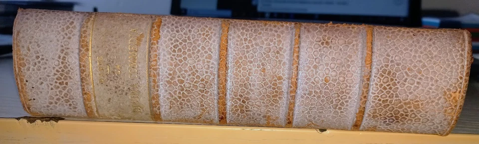 Dante Alighieri La Divina Comedia Carlo Steiner Paravia 926 Rimario Dorso Piel - Imagen 1 de 3