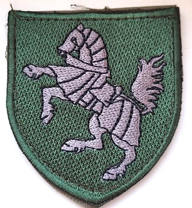 Ukrainian Military Chevron Patch 1 Independent Tank Brigade - Picture 1 of 4