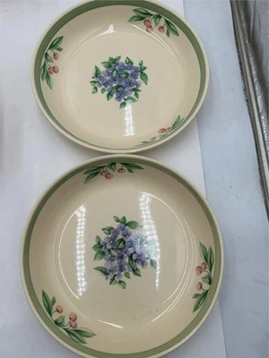 2) PFALTZGRAFF GARDEN PARTY --PASTA BOWLS  -- **READ** - Image 1 of 4