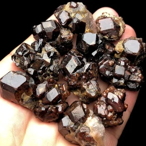 111g 12PCS NEW Natural Chocolate Garnet Quartz Garnet Quartz crystal Inner s880 - Picture 1 of 7