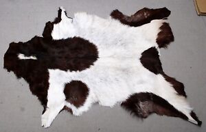 New Goat hide Rug Hair on Area Rug Size 38"x26" Animal Leather Goat Skin U-2510
