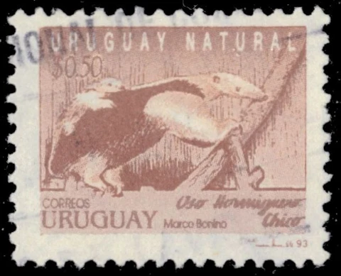 URUGUAY 1486 - Southern Tamandua "Tamandua tetradactyla" (pb64487) Cover
