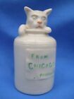 Crested China Cat In A Milkchurn- Paisley