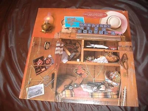 HANK WILLIAMS JR. Greatest Hits Vol.2 LP NEU/VERSIEGELT L@@K! - Bild 1 von 2