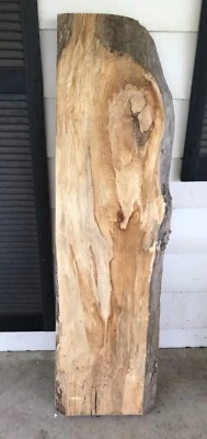 Mesa de centro #252 losa de ceniza dividida borde vivo parcial 54,75 L 16 W 2,75 de grosor Foto 1 de 4