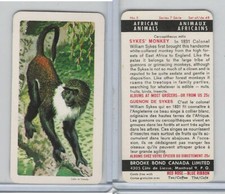 FC34-7 Brook Bond, African Animals, 1964, #5 Sykes Monkey
