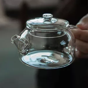 Small Capacity Teapot With Filter Heat-Resistant Glass Kung Fu Tea Pot Teaware - Picture 1 of 10