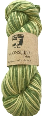 Juniper Moon Farm Moonshine Trios #109 Meadow Alpaca Wool Silk 100g Yarn Skein - Image 1 of 4