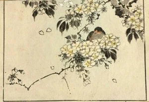 Flores japonesas antiguas impresión en madera flores, pájaros c. 1890 impresión de arte asiático Ukiyo-e - Imagen 1 de 9
