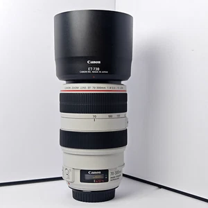 Canon EF 70-300mm f/4-5.6L IS USM - Picture 1 of 23