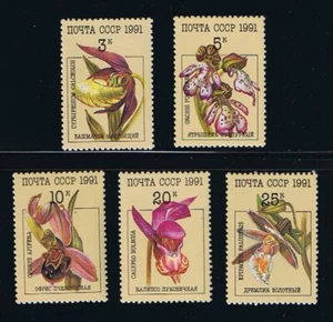 ORCHIDS = FLOWERS = full set of 5 = Russia 1991 Sc 5994-98 MNH - Bild 1 von 1