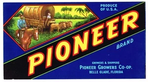 PIONEER ORANGE CRATE LABEL FLORIDA STRIP 1940S ORIGINAL VINTAGE BELLE GLADE  - Picture 1 of 1