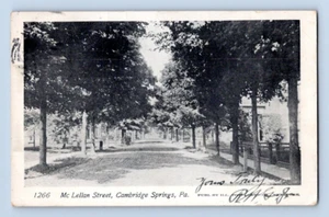 1905. MCLELLAN STREET, CAMBRIDGE SPRINGS, PA. POSTCARD. SZ23 - Picture 1 of 2