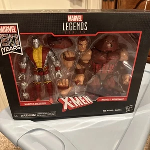 ¡¡NUEVO!! Hasbro Marvel Legends 80 Aniversario X-Men Colossus and Juggernaut 2-Pac - Imagen 1 de 2