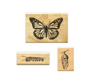 MONARCH SET Mounted Rubber Stamps - Butterfly, Caterpillar, Chrysalis #9 - Picture 1 of 3