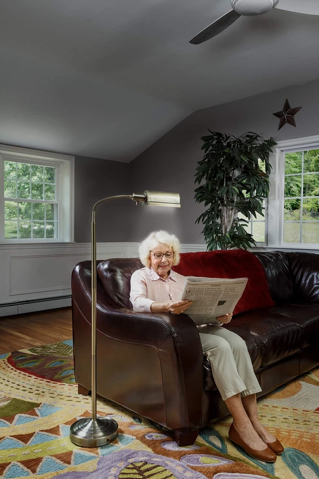 Daylight24 402051-57 Natural daylight Battery Operated Black Antique Brass