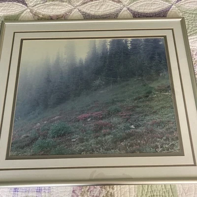 26"W x 22"T Peterson Photography “Heather & Lupine In Fog” Olympic Peninsula WA - Image 1 of 4
