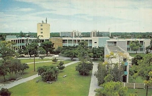 Postal FL: Universidad de Miami, Coral Gables, Florida, lino, años 50, sin publicar - Imagen 1 de 2