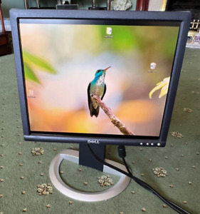 Dell 1704FPVS 17" LCD Monitor With Power Lead