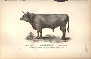 Report of the Commissioner of Agriculture 1862  Kerry Bull - Picture 1 of 1
