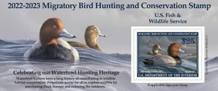 #RW89A  2022 -2023 Federal Duck Stamp  - MNH - Image 1 of 1