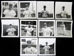 (10) 1960's St Louis Cardinals Baseball Player Snapshot Photos - Type 1 - Picture 1 of 8