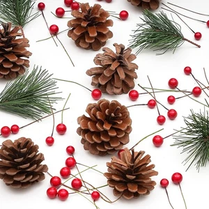 TRIXES Christmas Wreath Decorating Kit - Artificial Cones, Leaves and Red Berrys - Picture 1 of 8