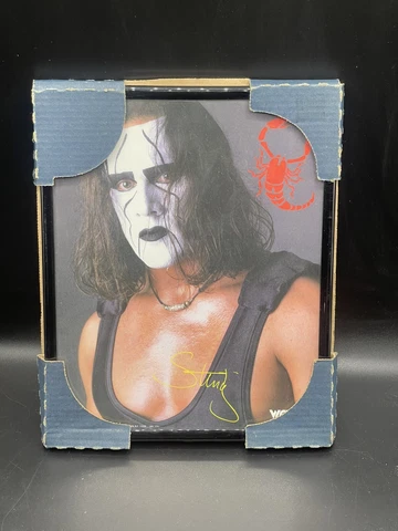 Vintage 1998 STING WCW 8X10" Scorpio Prints Framed Poster Picture Glass NEW Cover