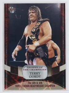 TERRY GORDY - 2011 BBM Pro-Wrestling Trading Card - Picture 1 of 3