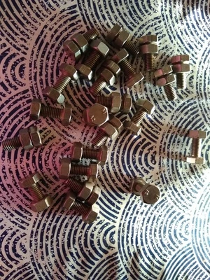 Lot 22 boulons vis écrou A2 en inox M 10 25 mm tête hexagonale de 17 - Photo 1/4