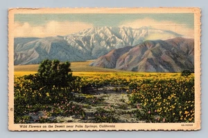 Vintage Palm Springs Kalifornien Wildblumen Postkarte Mt San Jacinto - Bild 1 von 2