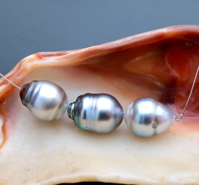 WILDLY BEAUTIFUL EXOTIC  AA+ TAHITIAN SILVER PEACOCK CULTURED PEARLS - Image 1 of 4