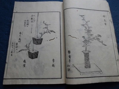 LIBRO JAPONÉS IMPRESO EN MADERA ARREGLO FLORAL IKEBANA EDO TARDÍO Foto 1 de 4