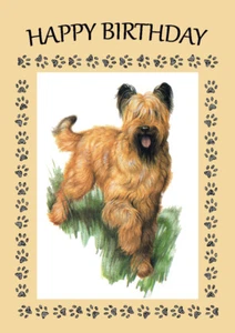 BRIARD GREAT BIRTHDAY GREETINGS NOTE CARD - Picture 1 of 1