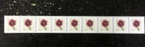 2024USA #5902 1c Fringed Tulips - Plate Number Coil Strip of 9 PNC Mint flowers - Picture 1 of 2