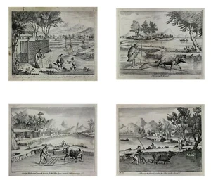 c1770 4x Engravings Rice Manufactory in China 18th Century Agriculture Asia Rare - Bild 1 von 10