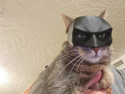 Batman Inspired Cat Mask | 3D Printed Cosplay/Display Prop - Image 1 of 4